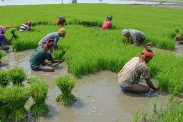 రైతు భరోసాపై తెలంగాణ సర్కార్ మరో కీలక అప్డేట్.. వారి అకౌంట్లలోకూడా నగదు.. మరో వారంరోజుల్లో మొత్తం కంప్లీట్..