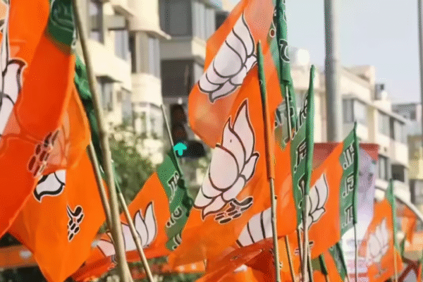 BJP new chief likely by mid-July with state units nearly in place